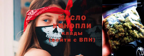 мдпв Инта