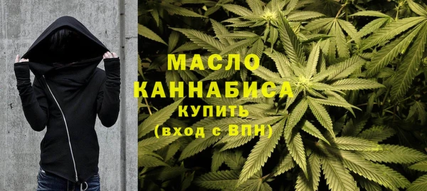 мдпв Инта