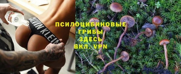 мдпв Иннополис