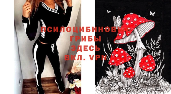 мдпв Иннополис