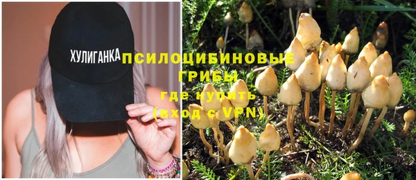 мдпв Инта