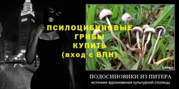 мдпв Иннополис