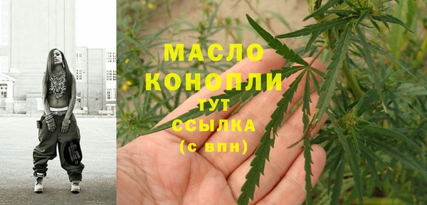 мдпв Инта