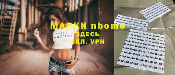 мдпв Инта