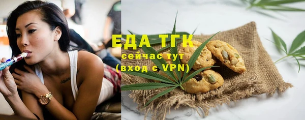 мдпв Инта