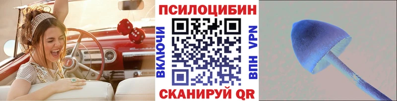 Псилоцибиновые грибы мицелий  даркнет сайт  Каргополь 